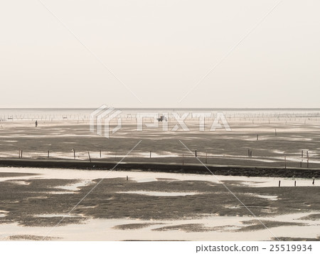 王功蚵架 25519934