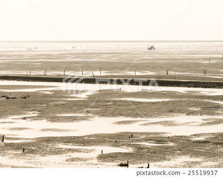 王功蚵架 25519937