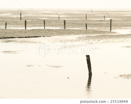 王功蚵田 王功蚵田 25519949