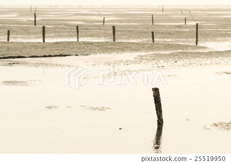 王功蚵田 王功蚵田 25519950