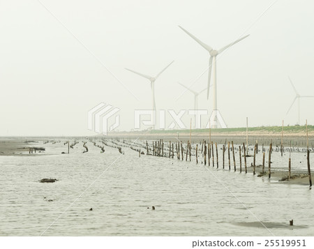 王功蚵田 王功蚵田 25519951