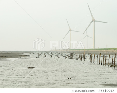 王功蚵田 25519952