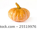 Pumpkin on white background 25519976