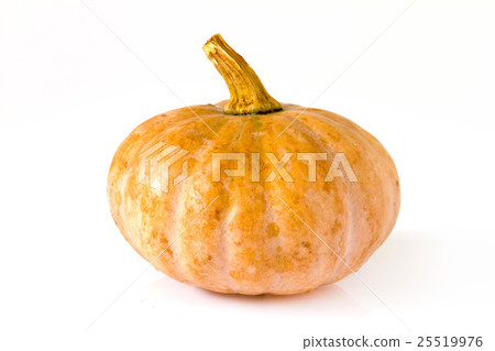 Pumpkin on white background 25519976