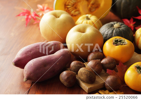 Fall ingredients 25520066