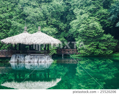 Alishan sister pool 25520206