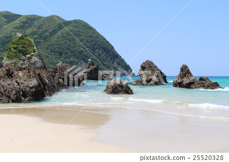Sunflower Goto Island of Islands Fukue Island Takahama Beach Japan's 100 beaches 25520328