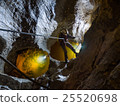 Lifting in a cave 25520698