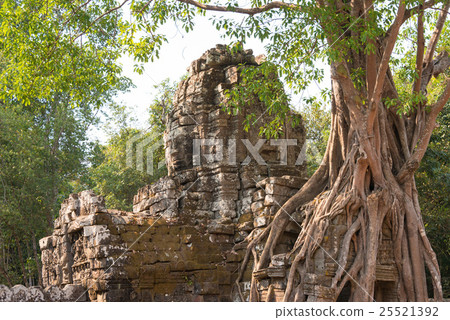 Ta Som (Angkor monuments) Cambodia · Siem Reap 25521392