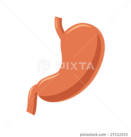 Stomach icon in cartoon style Stomach icon in cartoon style 25522033
