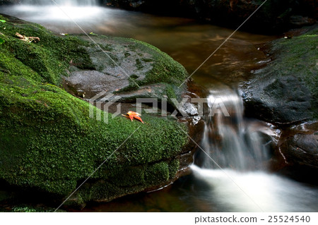 Waterfall in deep forest in Thailand Waterfall in deep forest in Thailand 25524540