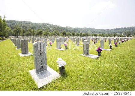 Republic of Korea 031 25524845