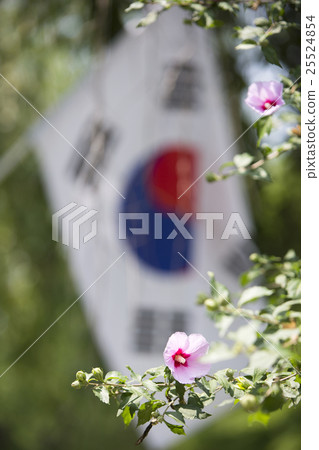 Republic of Korea 026 Republic of Korea 026 25524854