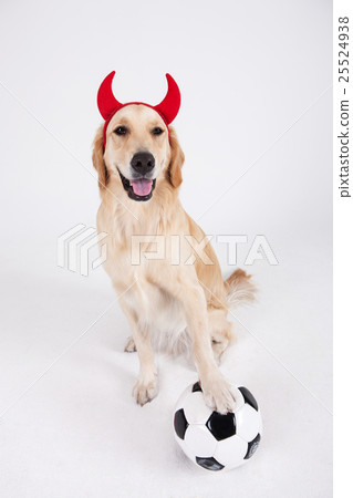 Animal companion and me 003 Animal companion and me 003 25524938