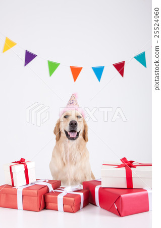 Animal companion and me 031 25524960