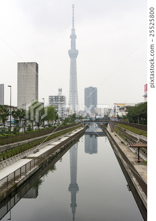 東京天空樹 25525800