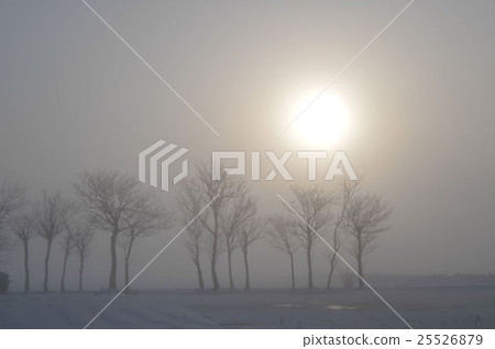 晨霧 晨霧 25526879