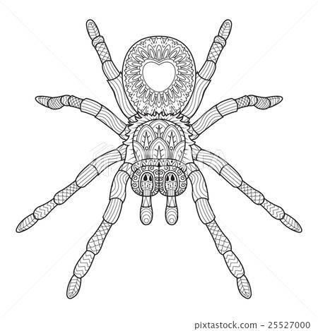 Hand draw of spider in Zentangle style. Hand draw of spider in Zentangle style. 25527000