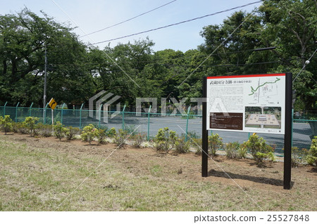 東京即武藏國分寺遺址 東京即武藏國分寺遺址 25527848