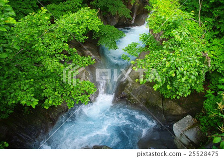 瀑布花瓶 25528475