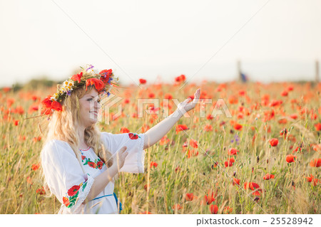Girl in a poppy field 25528942
