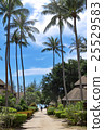 Tropical Resort 25529583