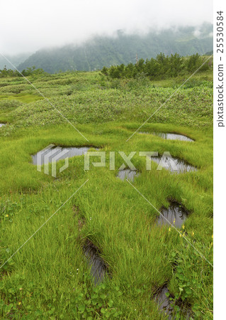 Mt. Tateyama Maba gorge, Toyama prefecture (vertical composition) dotted with a starry field Mt. Tateyama Maba gorge, Toyama prefecture (vertical composition) dotted with a starry field 25530584
