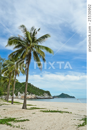 Tropical sandy beach in Thailand 25530902