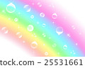 Rainbow and soap bubbles 25531661