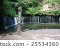 Shiraito Falls 25534360