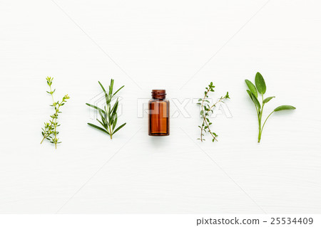 Bottle of essential oil with  fresh herbal . 25534409