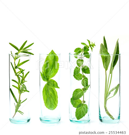 Close Up bottles of essential oils . Close Up bottles of essential oils . 25534463
