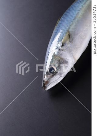 mackerel 25534735