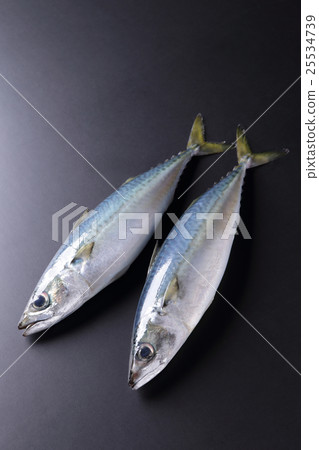 mackerel 25534739