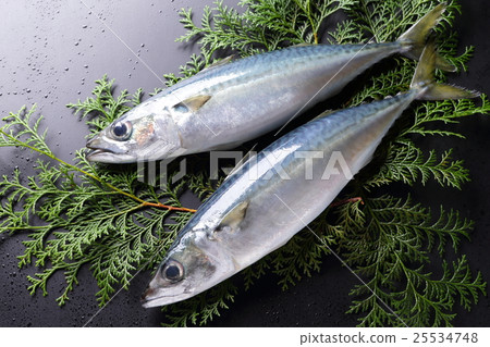 薩巴 薩巴 25534748