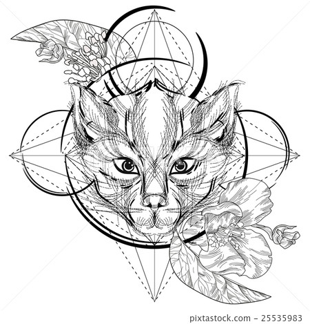 Wolf head low-poly sketch. Wolf head low-poly sketch. 25535983