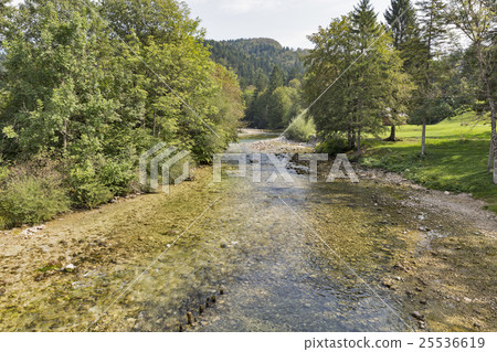 Sava Bohinjka river landscape, Slovenia Sava Bohinjka river landscape, Slovenia 25536619