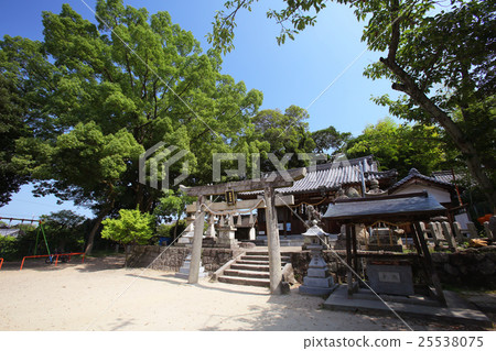 Kano City Wakamiya Shrine 25538075