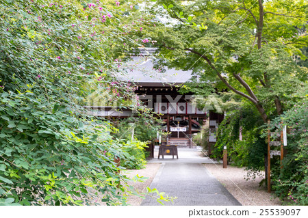 Hagi - Nishiki Shrine 25539097