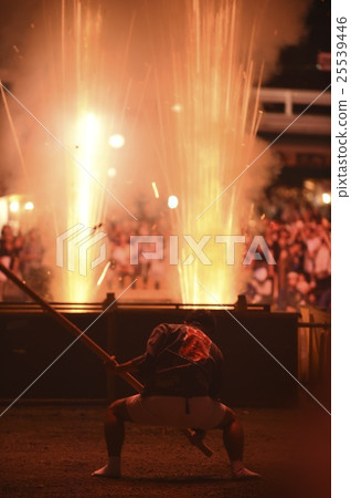 Festival Festival 25539446