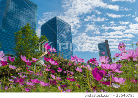 從呻吟的花園看大阪廣場 25540785