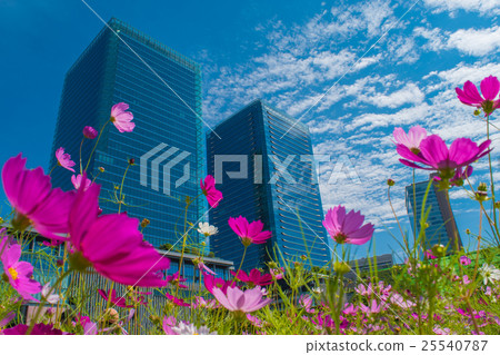 從呻吟的花園看大阪廣場 25540787