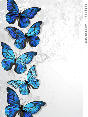 Design with blue butterflies morpho 25541413