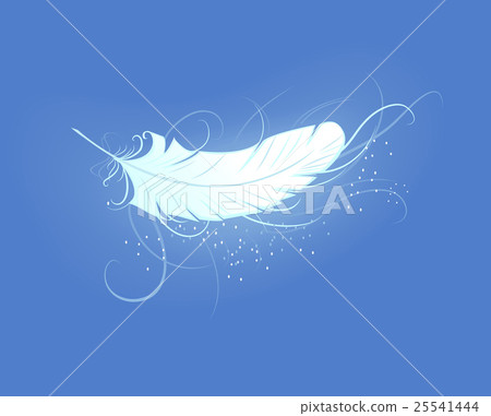 feather of the angel feather of the angel 25541444