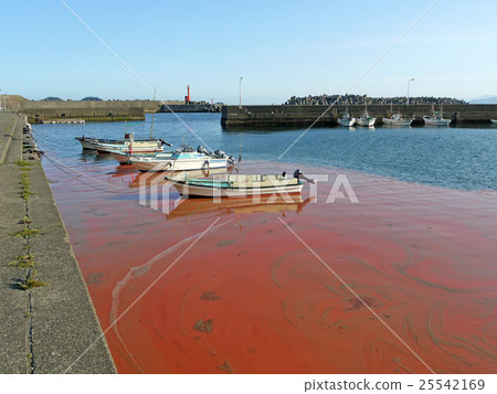 在港口的紅潮 25542169