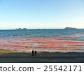 Red tide / natural phenomenon Red tide / natural phenomenon 25542171