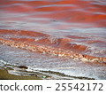 red tide red tide 25542172