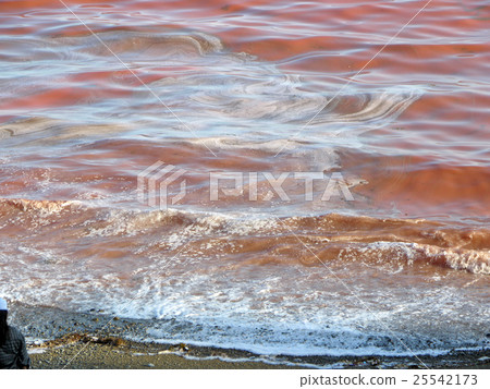 red tide 25542173