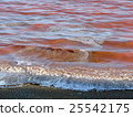 red tide red tide 25542175