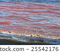 Red tide / beach Red tide / beach 25542176